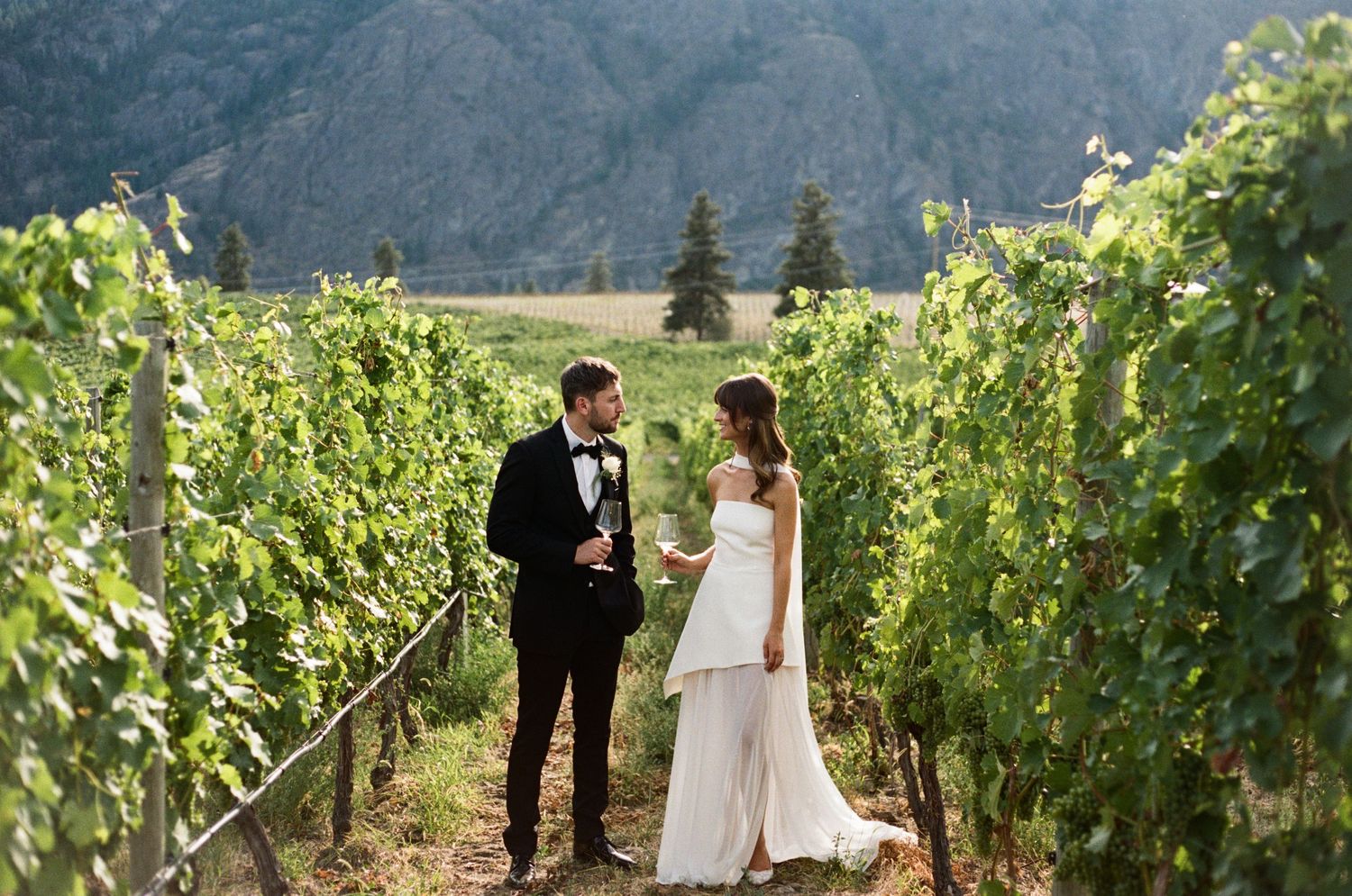 Couple in formal wedding attire walking and posing between rows of lush green grapevines at a scenic vineyard.