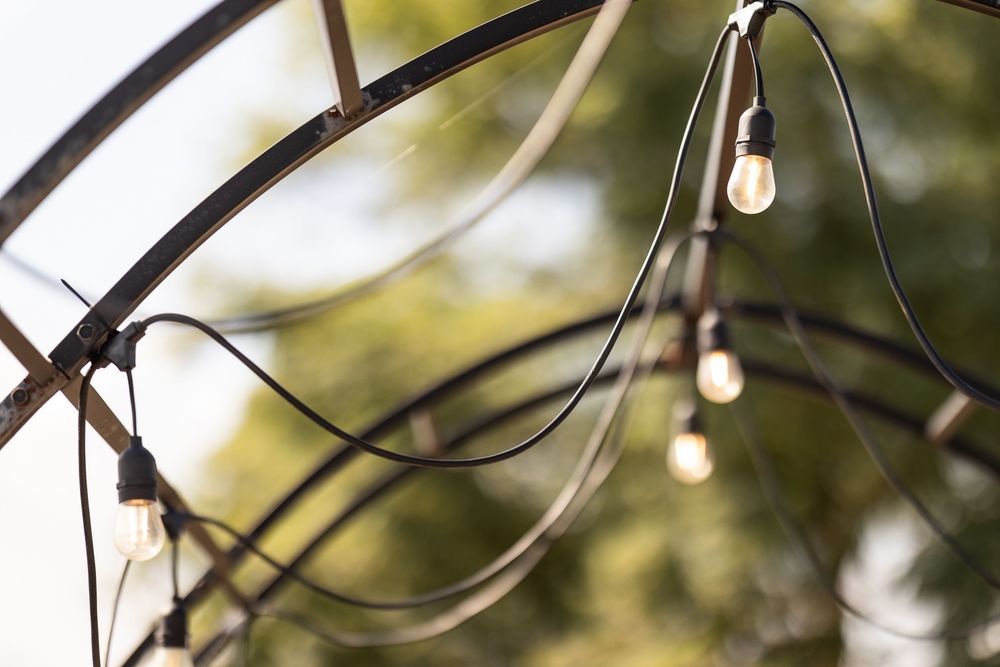 String lights hang from tree branches creating a warm bokeh effect against a blurred natural background.