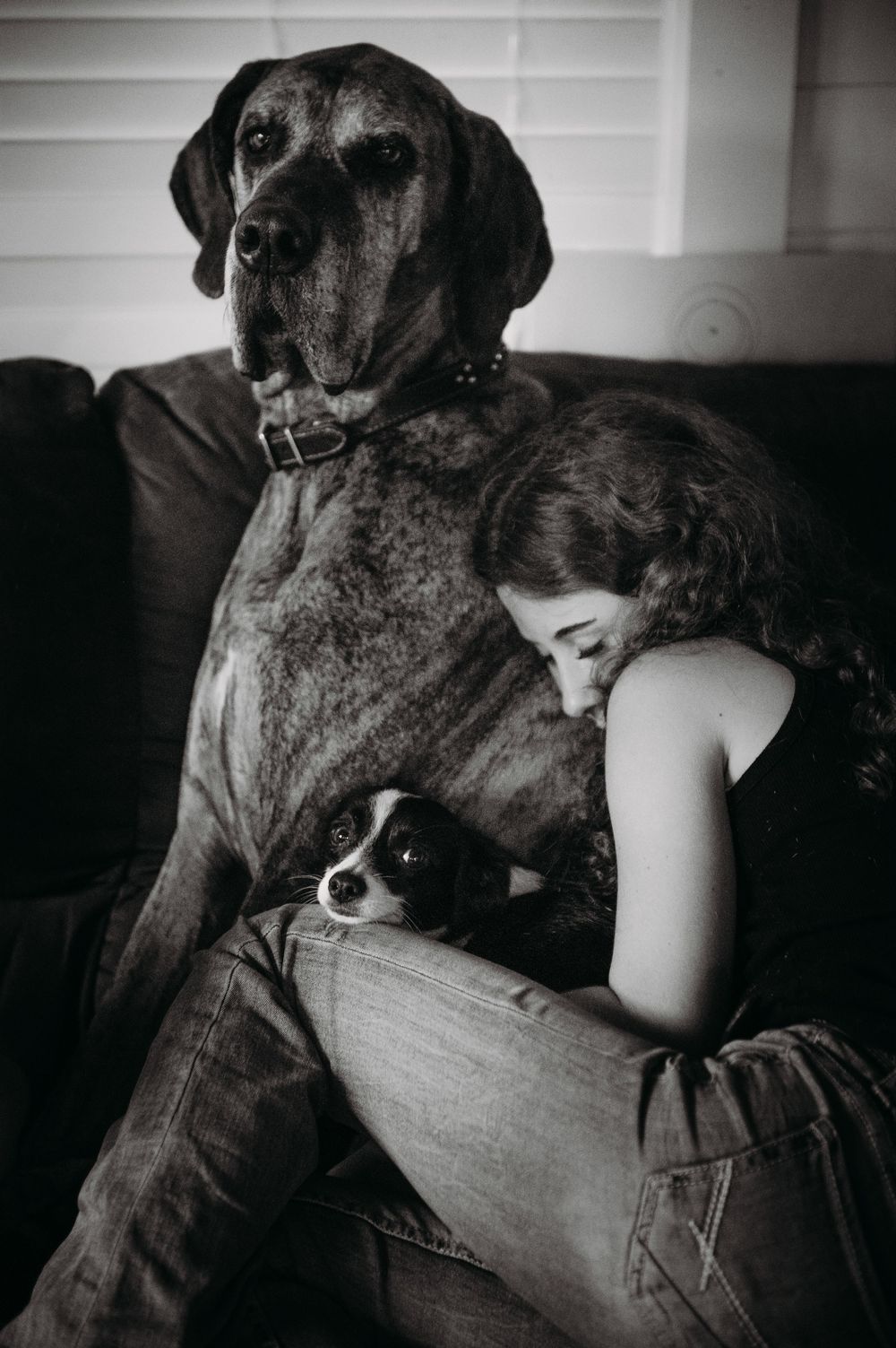 A series of black and white photos showing tender moments between a person and their large black dog.