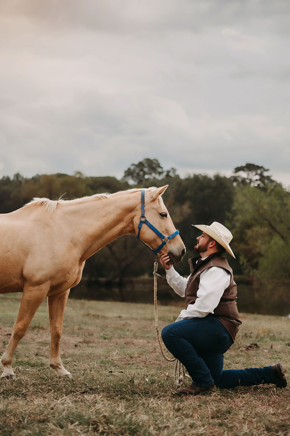A series of photos showing a person in cowboy attire sitting on the ground with a palomino horse in a rustic field setting.