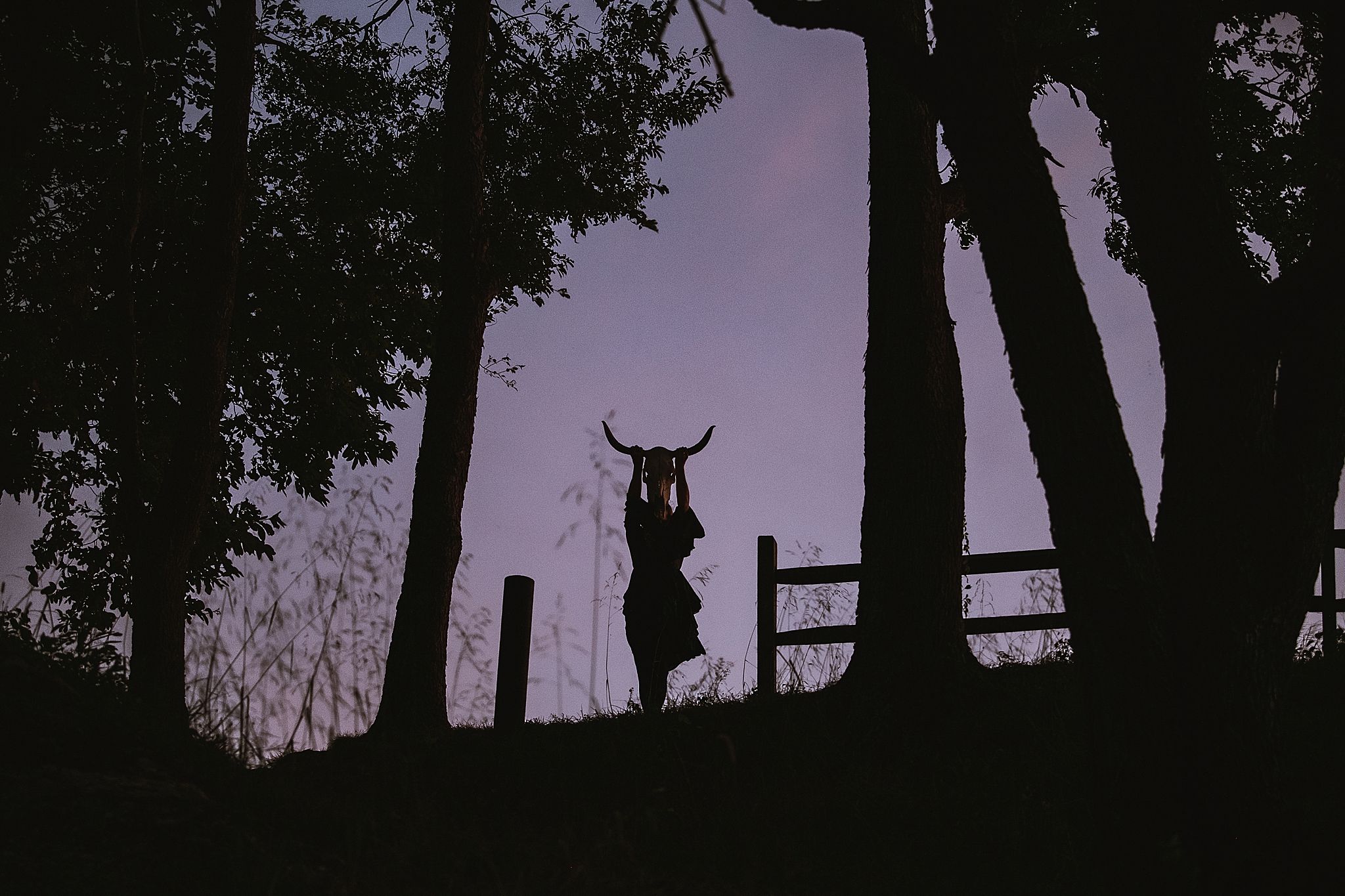 Dark silhouettes of trees and wildlife stand against a purple twilight sky creating a dramatic nature scene.