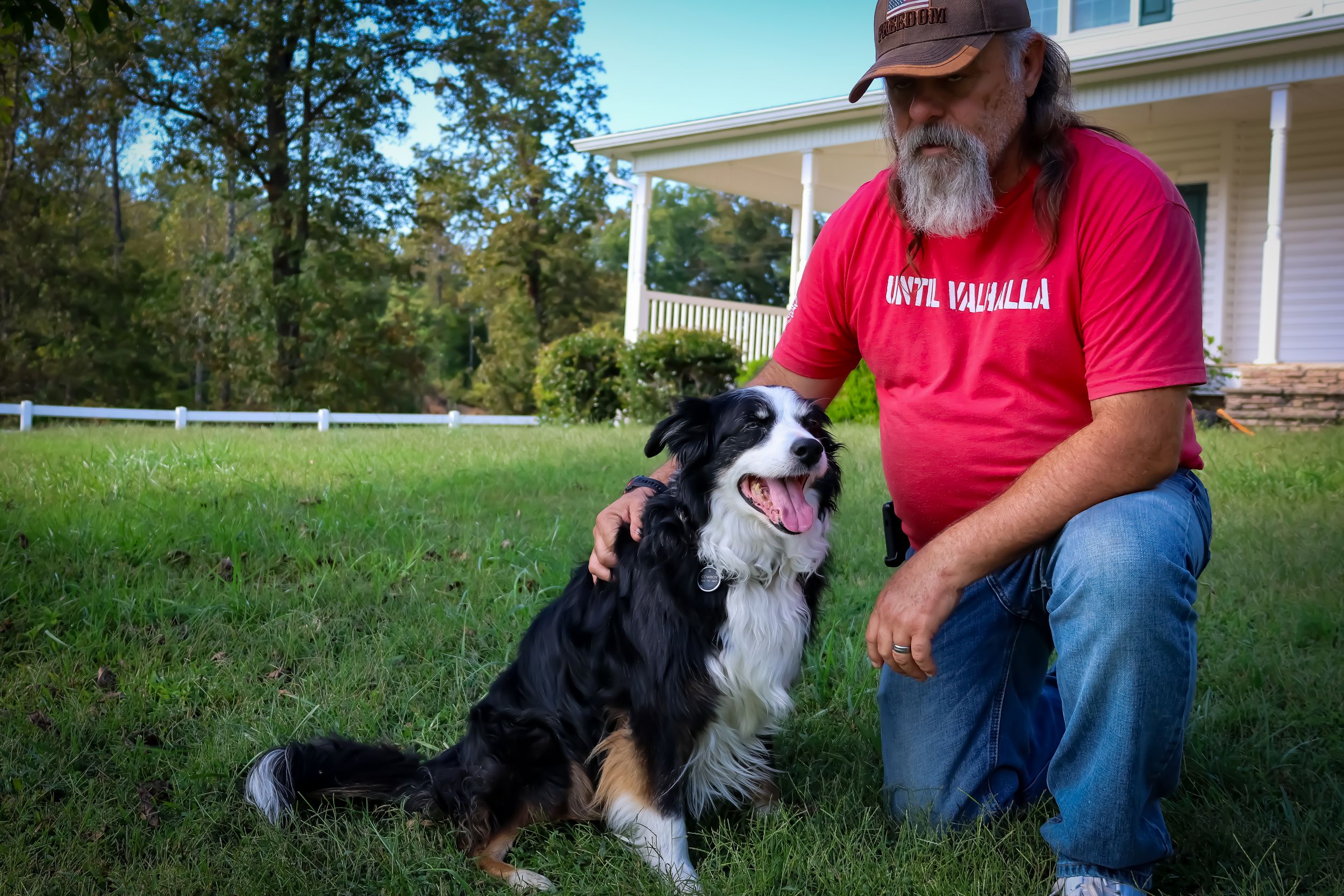 Border Collie and people relaxing outdoors on a sunny day.