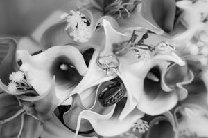 Elegant black and white macro photo of white calla lily wedding bouquet flowers showing dramatic contrast.