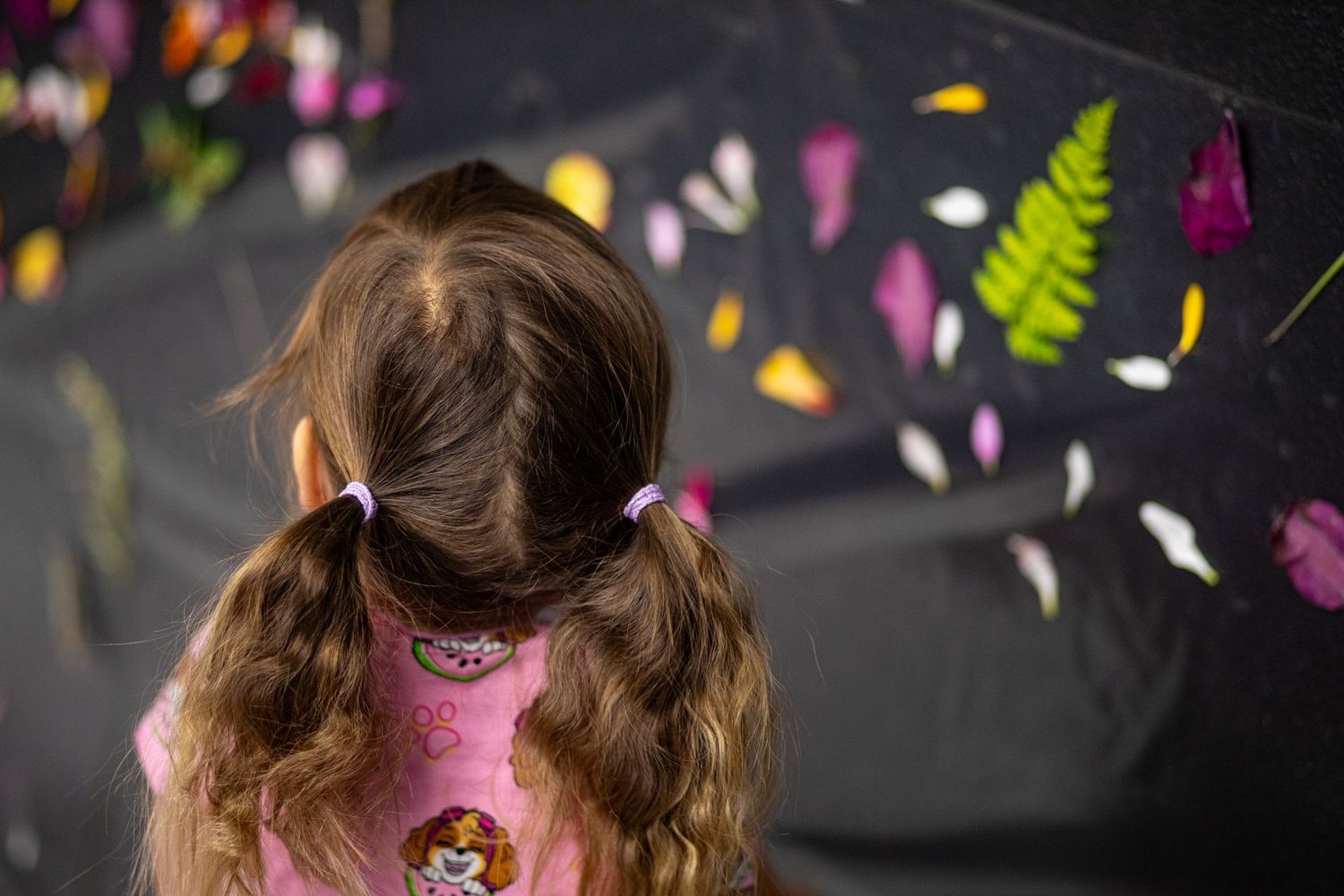 Child with pigtails viewed from behind against dark background with colorful flower petals.
