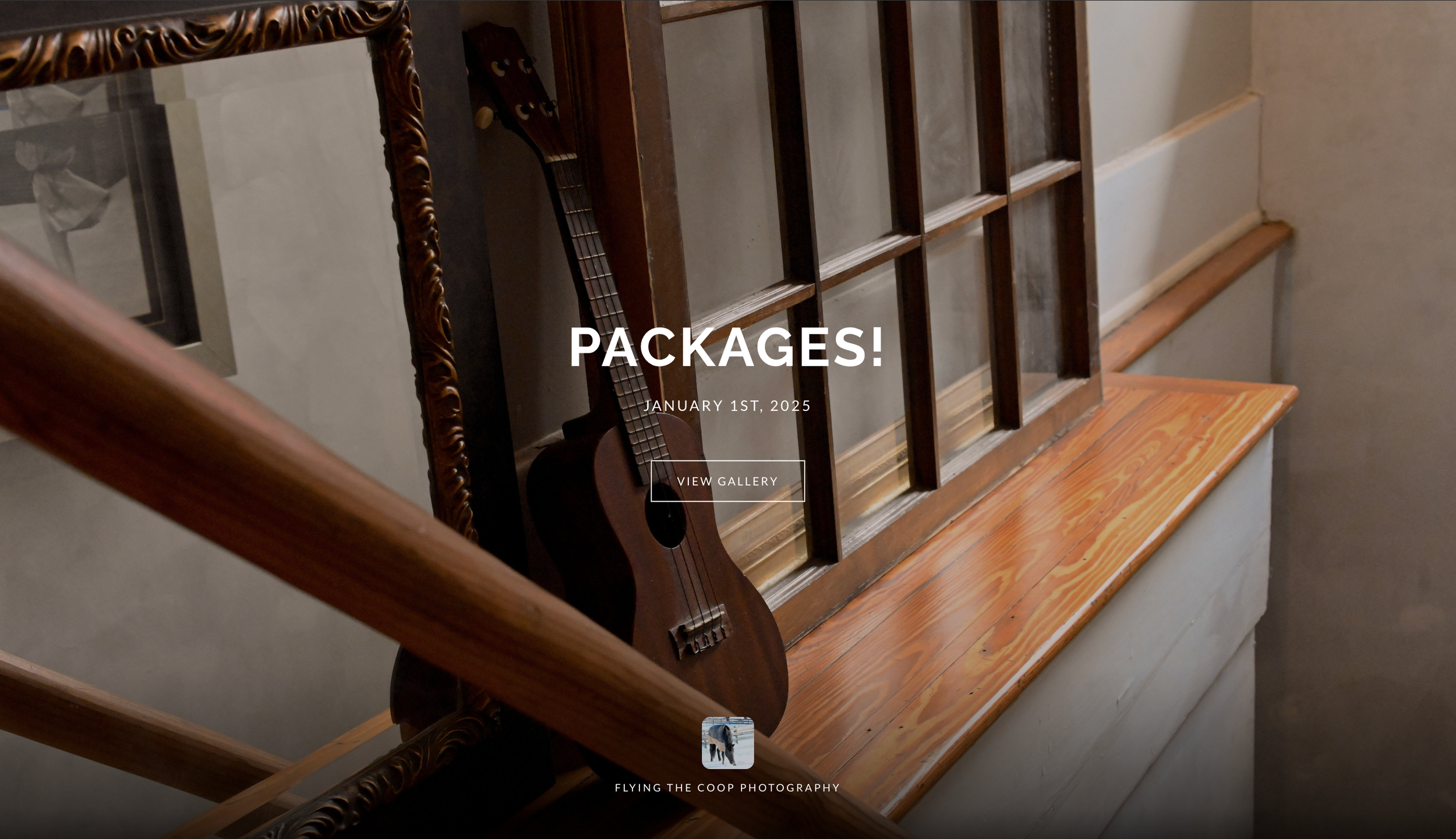 Gallery cover & title image