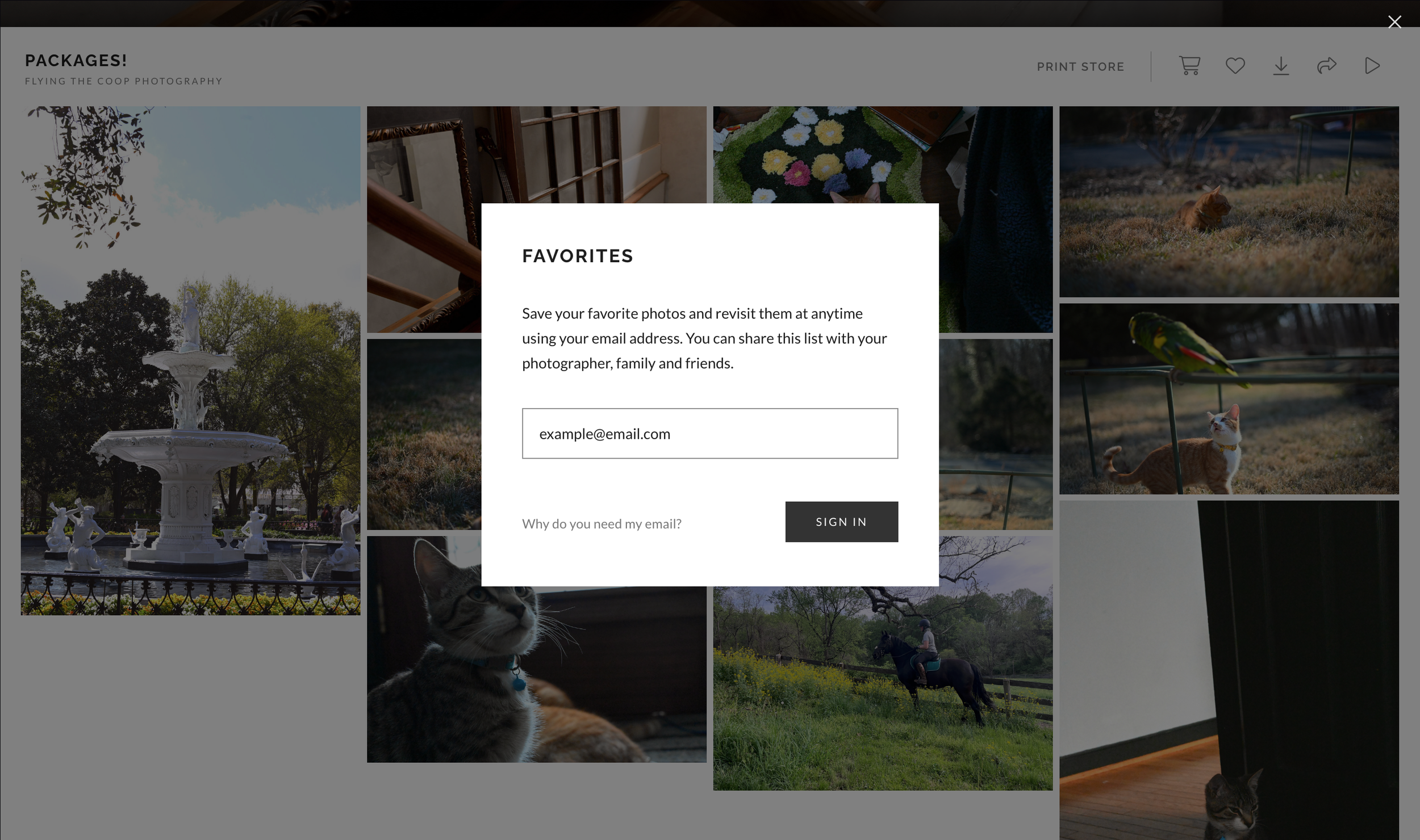 create favorites pop up