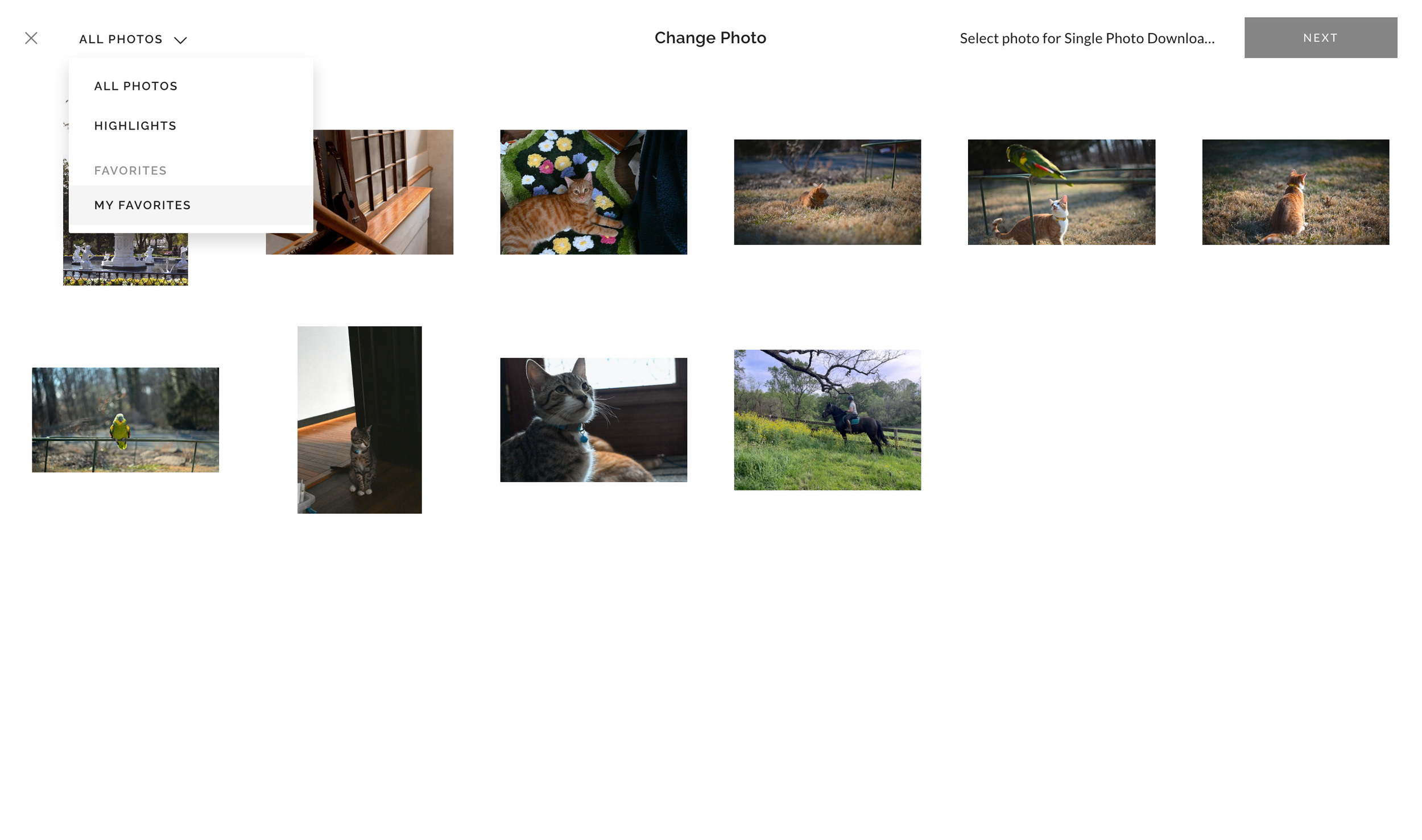 5 image selection (gallery)