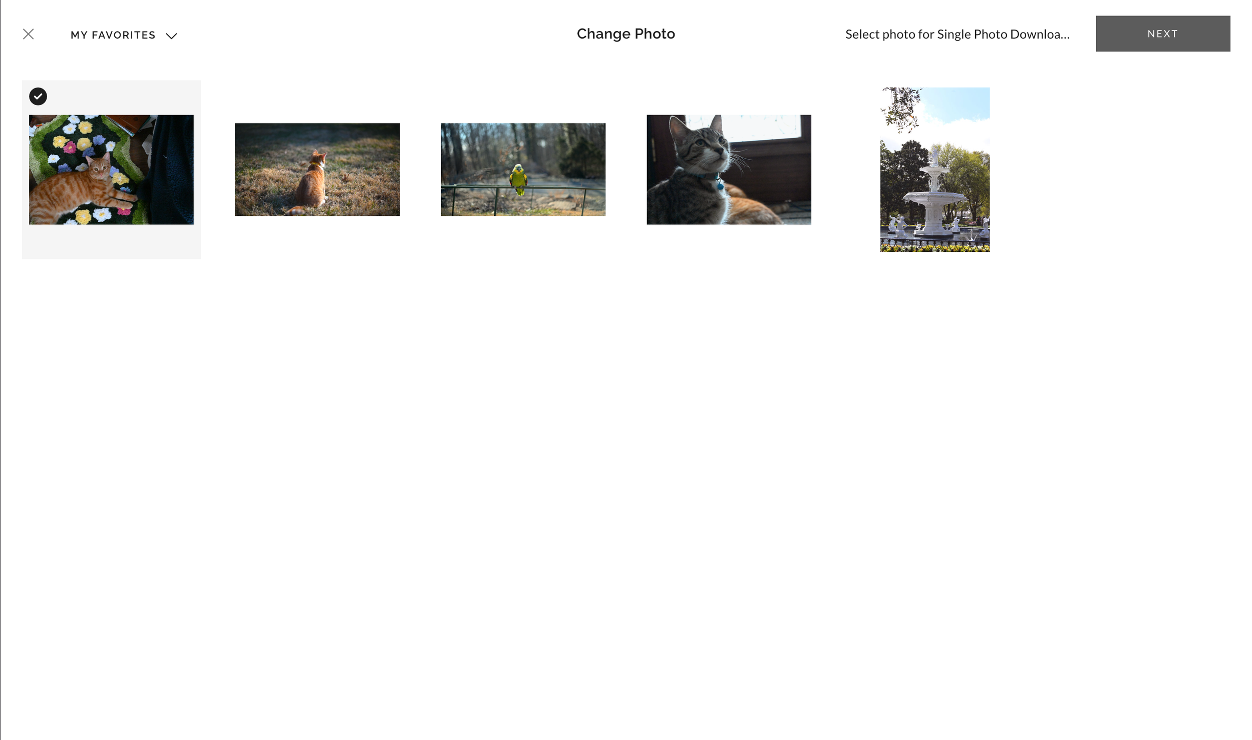 5 image selection (favorites)