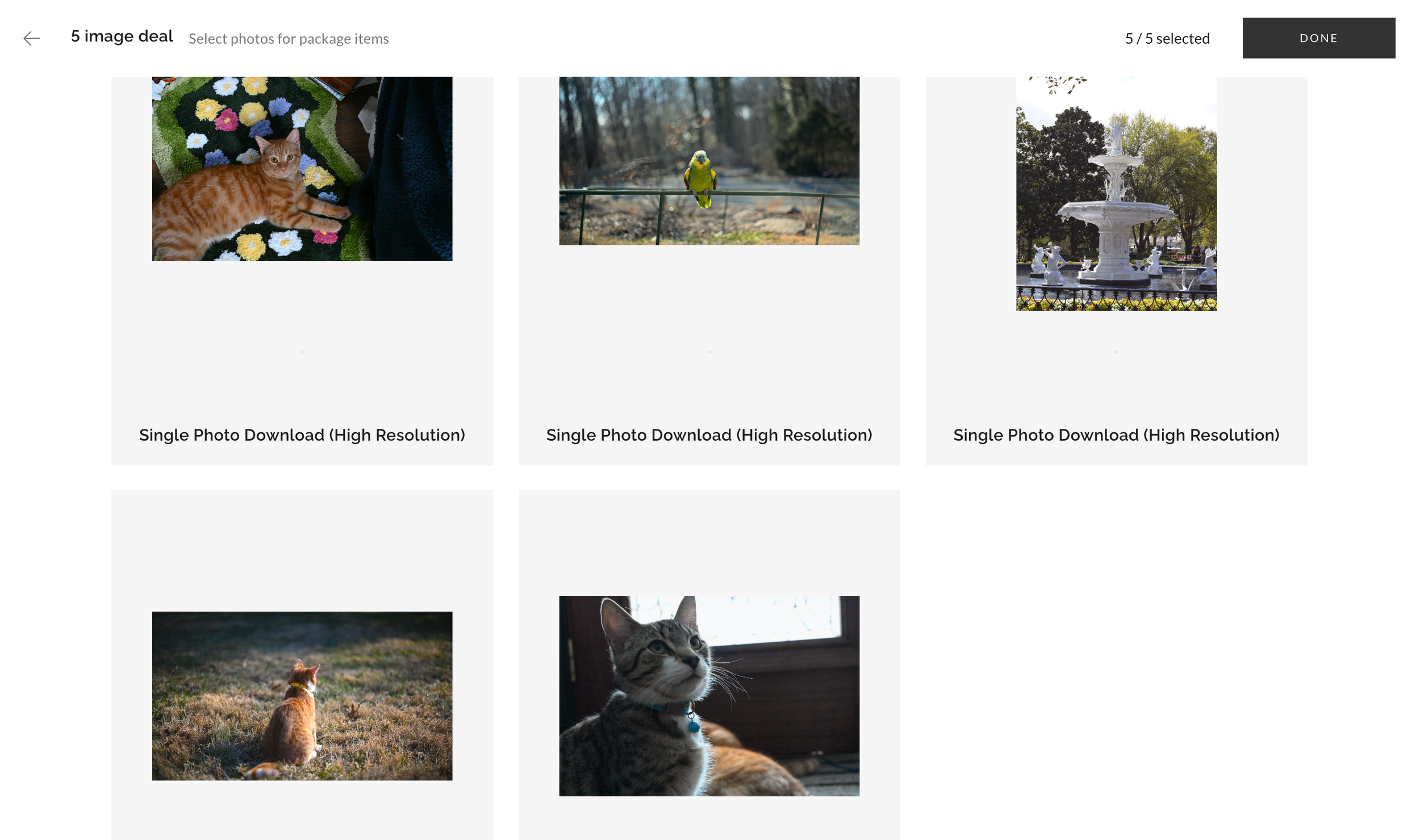 5 image package with selected items