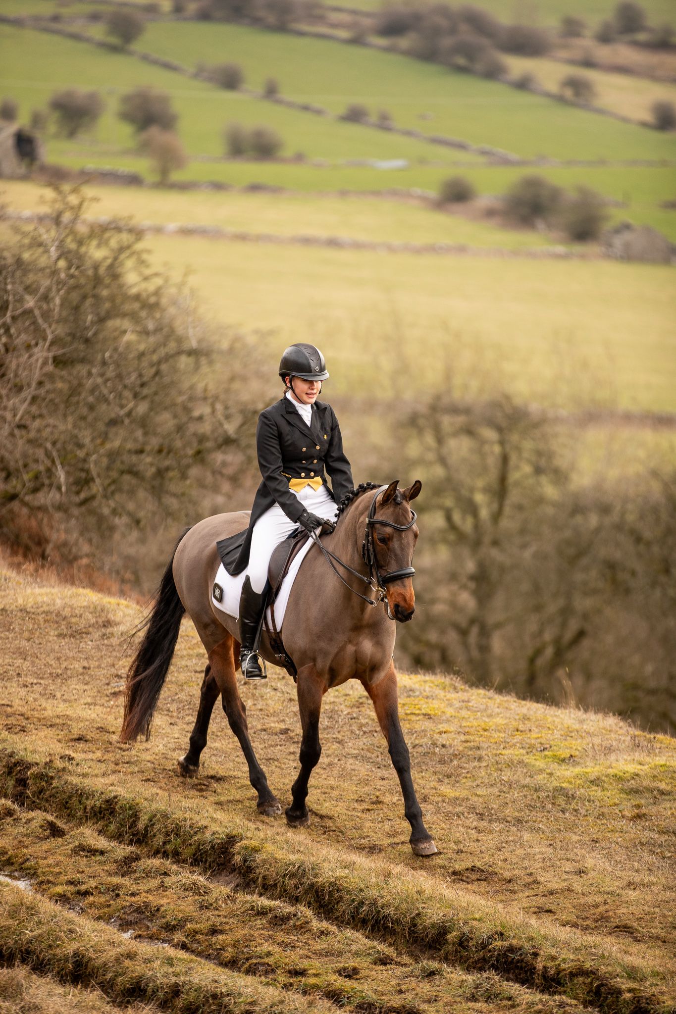 Equestrian rider in formal attire and helmet riding a brown horse across rolling countryside hills during autumn.