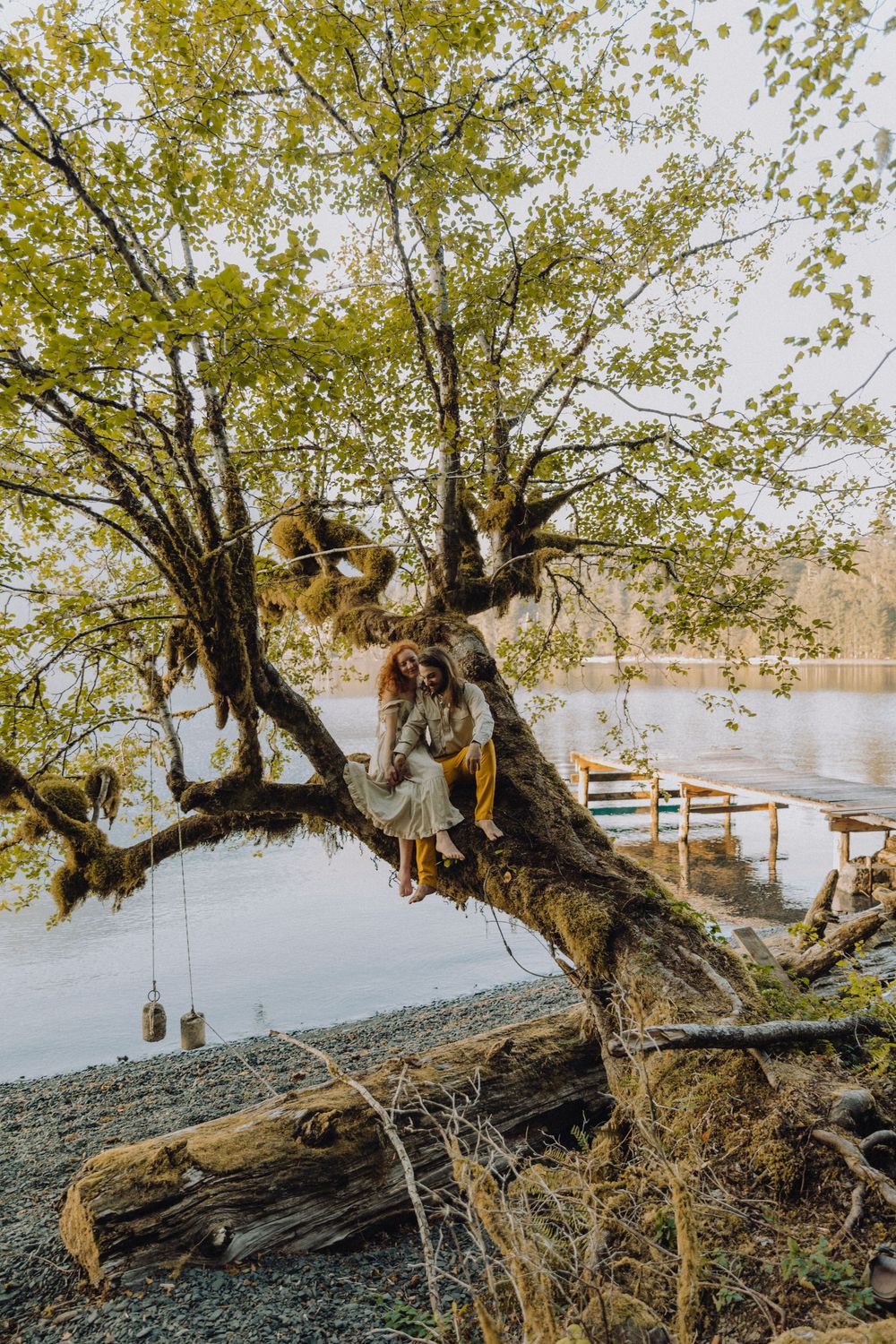 Artistic portrait of couple perched in gnarled tree branches over waterfront at golden hour.