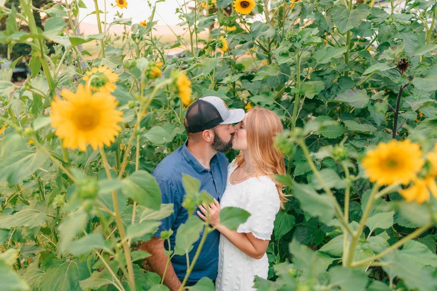 Couple sharing a romantic kiss surrounded by vibrant yellow sunflowers in a lush garden field.