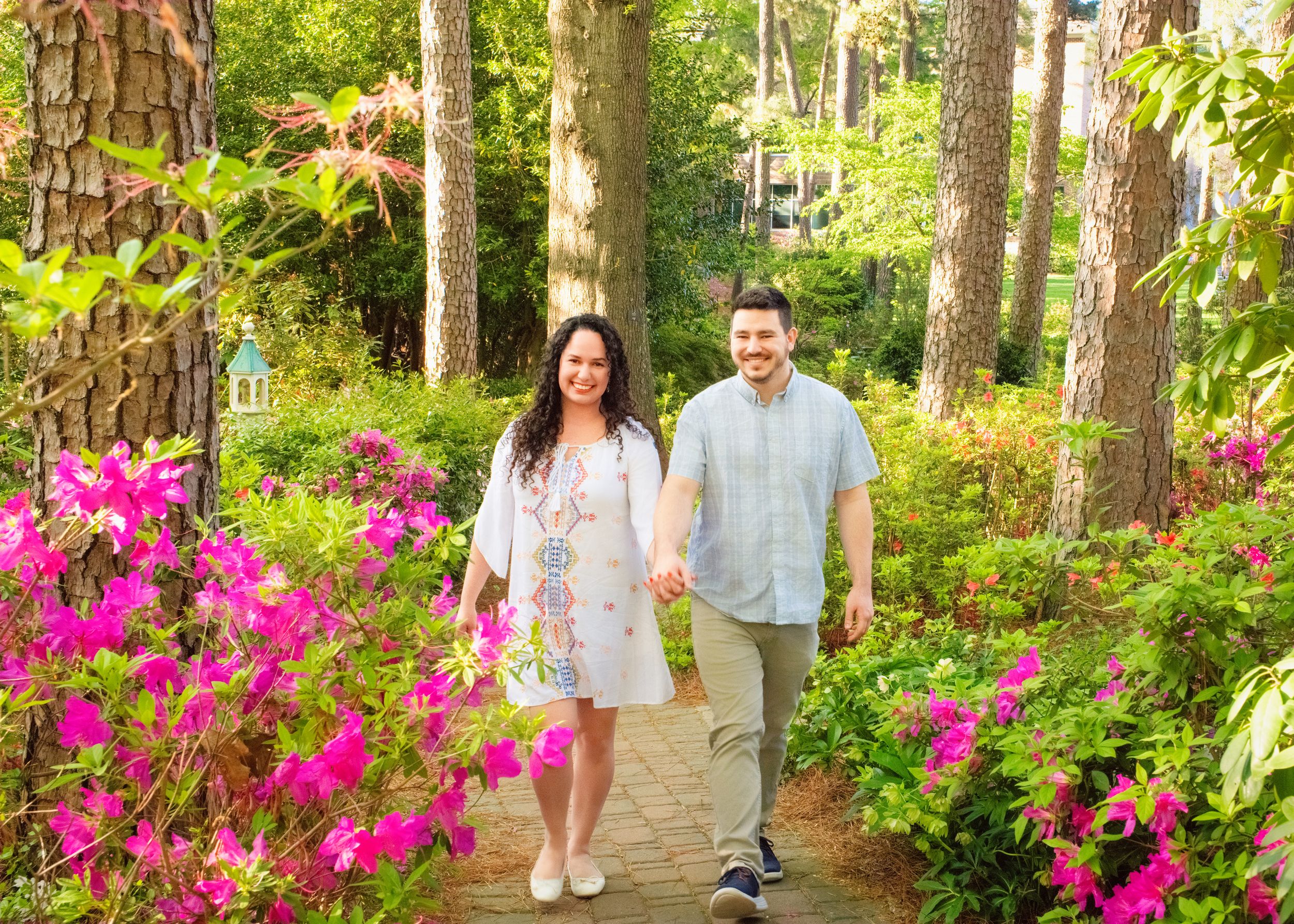 Two people stroll along a garden path surrounded by vibrant pink azalea flowers and tall trees in springtime.