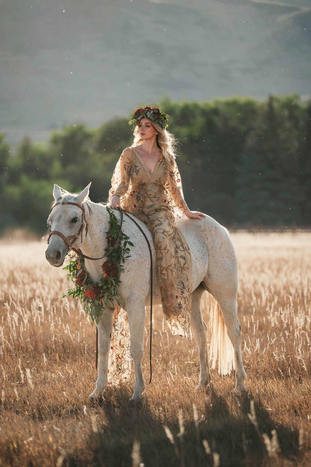 Horse photography