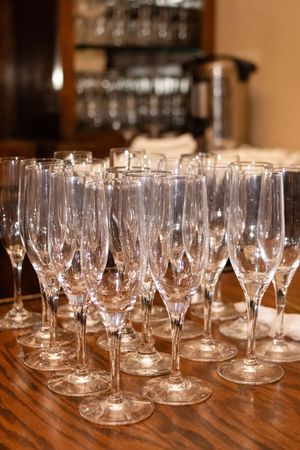 mimosa glasses boca raton bridal shower