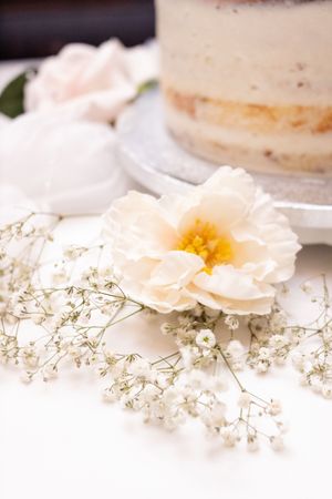 cake flower details boca raton bridal shower