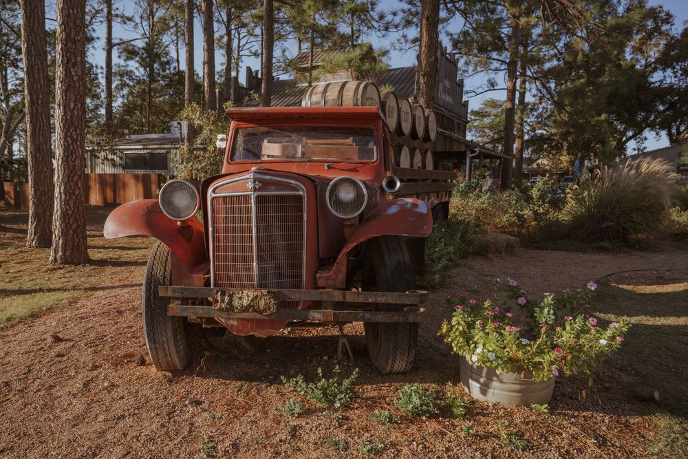 A vintage red truck sits parked among pine trees in a rustic outdoor setting.