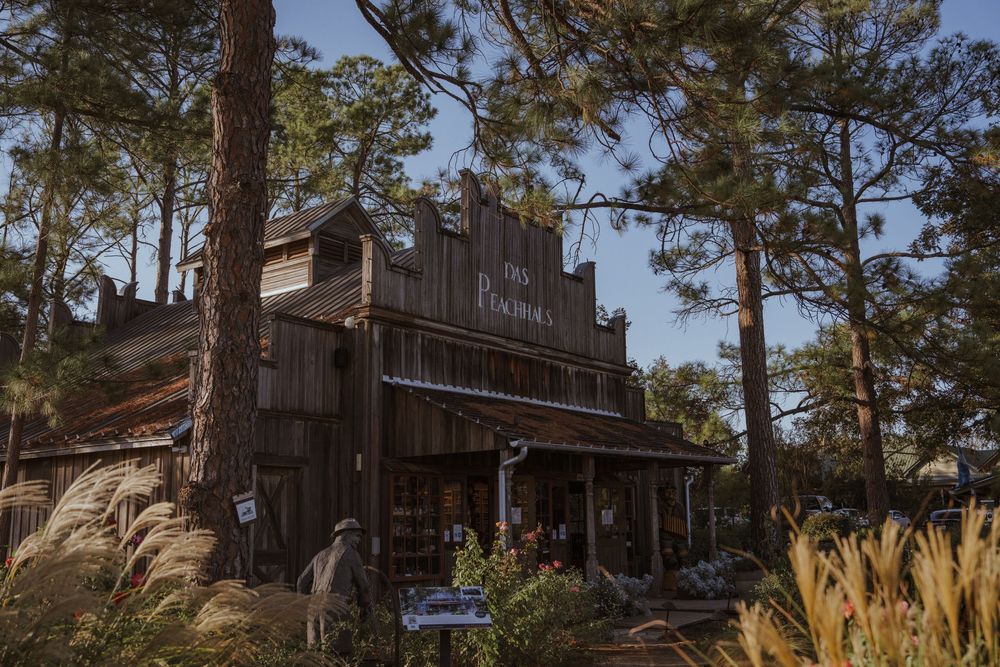 A rustic wooden building nestled among tall pine trees with ornamental grasses in the foreground.