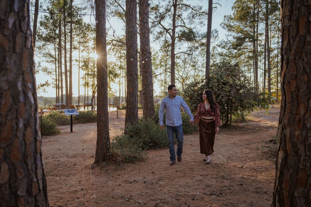 A couple walks hand in hand through a serene pine forest during golden hour.