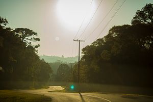Sunlit countryside road with morning haze and trees by Piret Victoria Ribas.