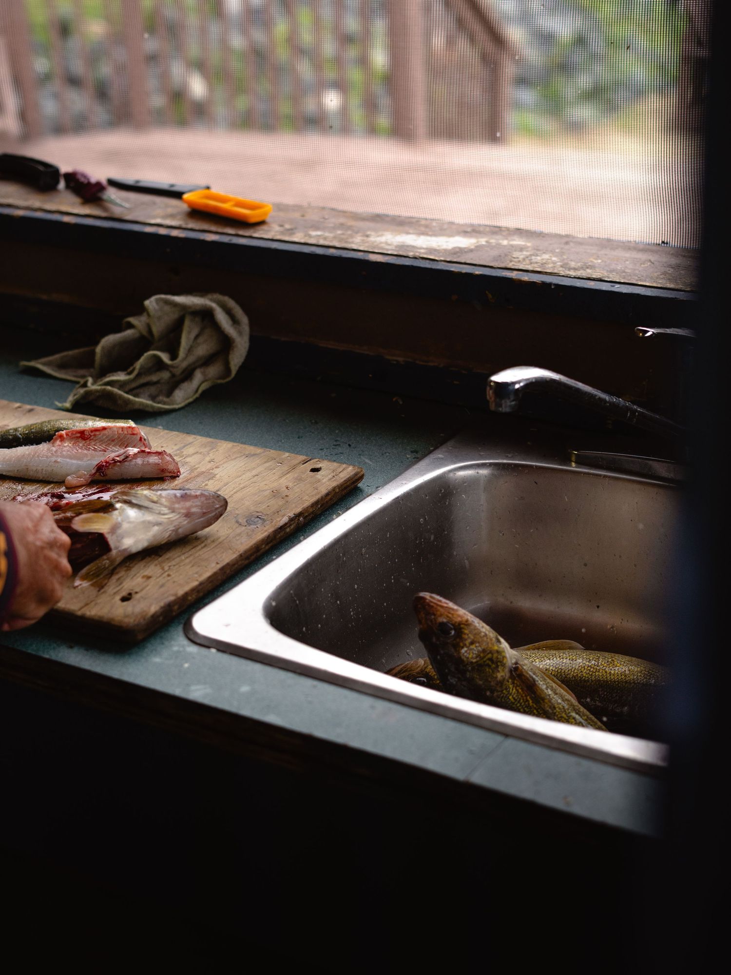 Fish cleaning station with sink and cutting board in rustic setting.