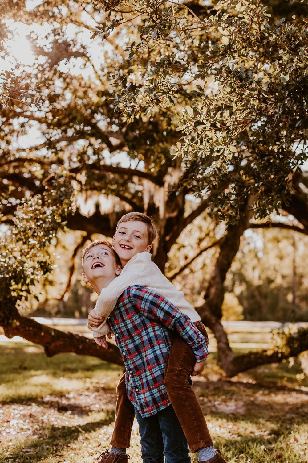 Candid moments of children playing and laughing in a sunlit orchard.