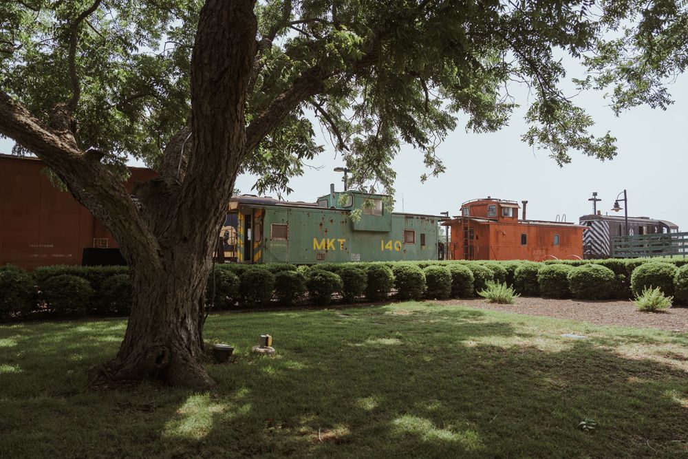 Scenic outdoor venue with large trees providing natural shade.