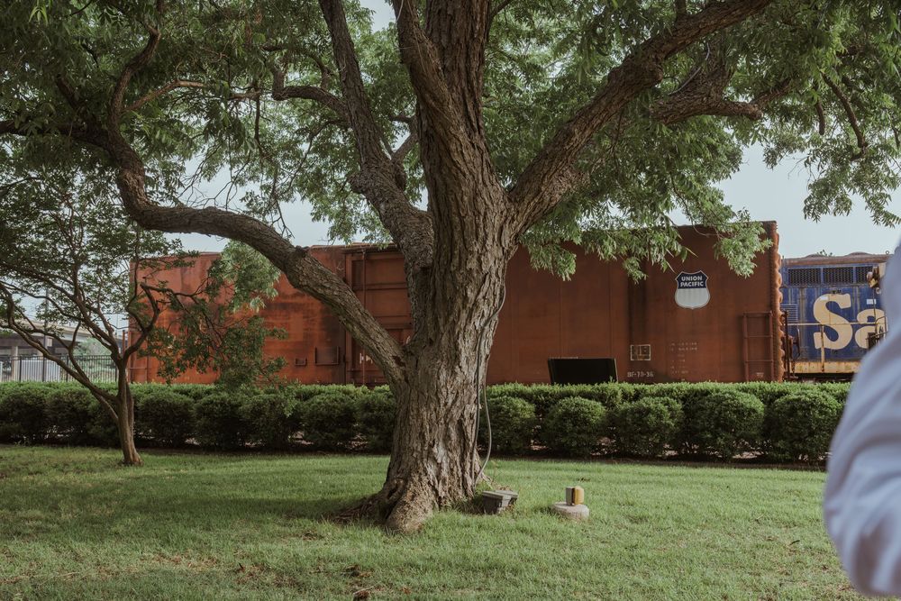 Outdoor wedding venue with green trees and brick building in background.