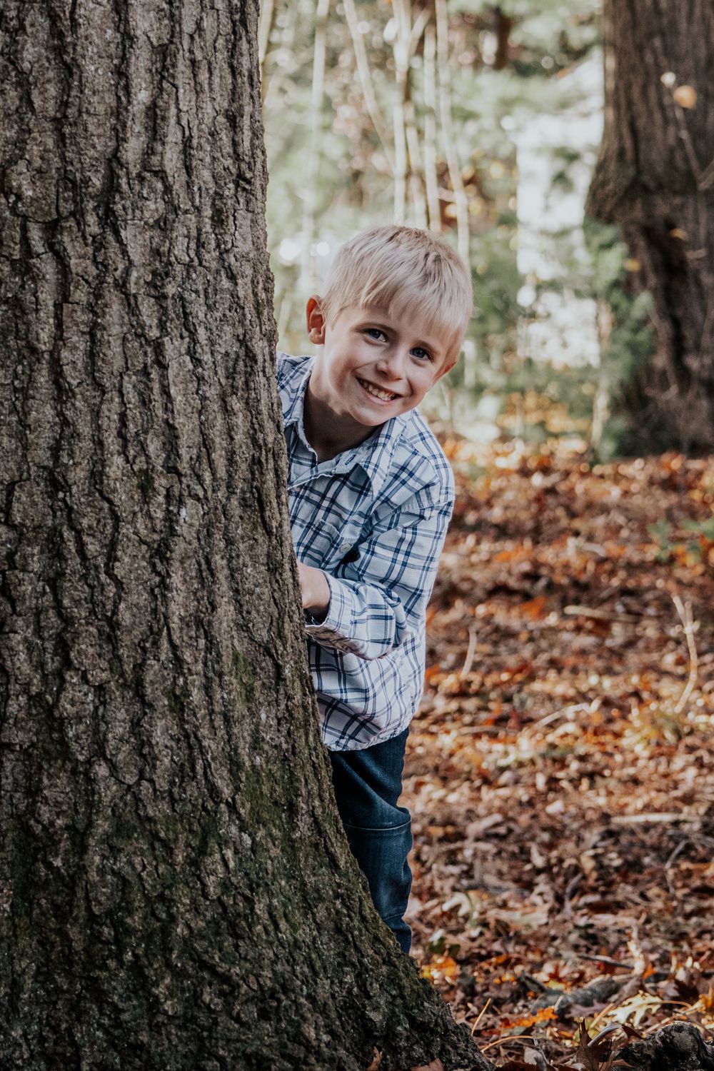 Child plays peek-a-boo behind large tree trunk in autumn forest.