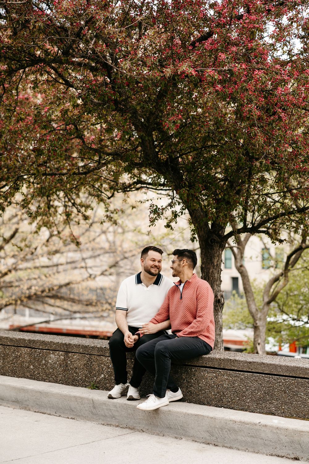 Two men sitting together on a ledge under a blooming red tree, sharing a tender moment outdoors.