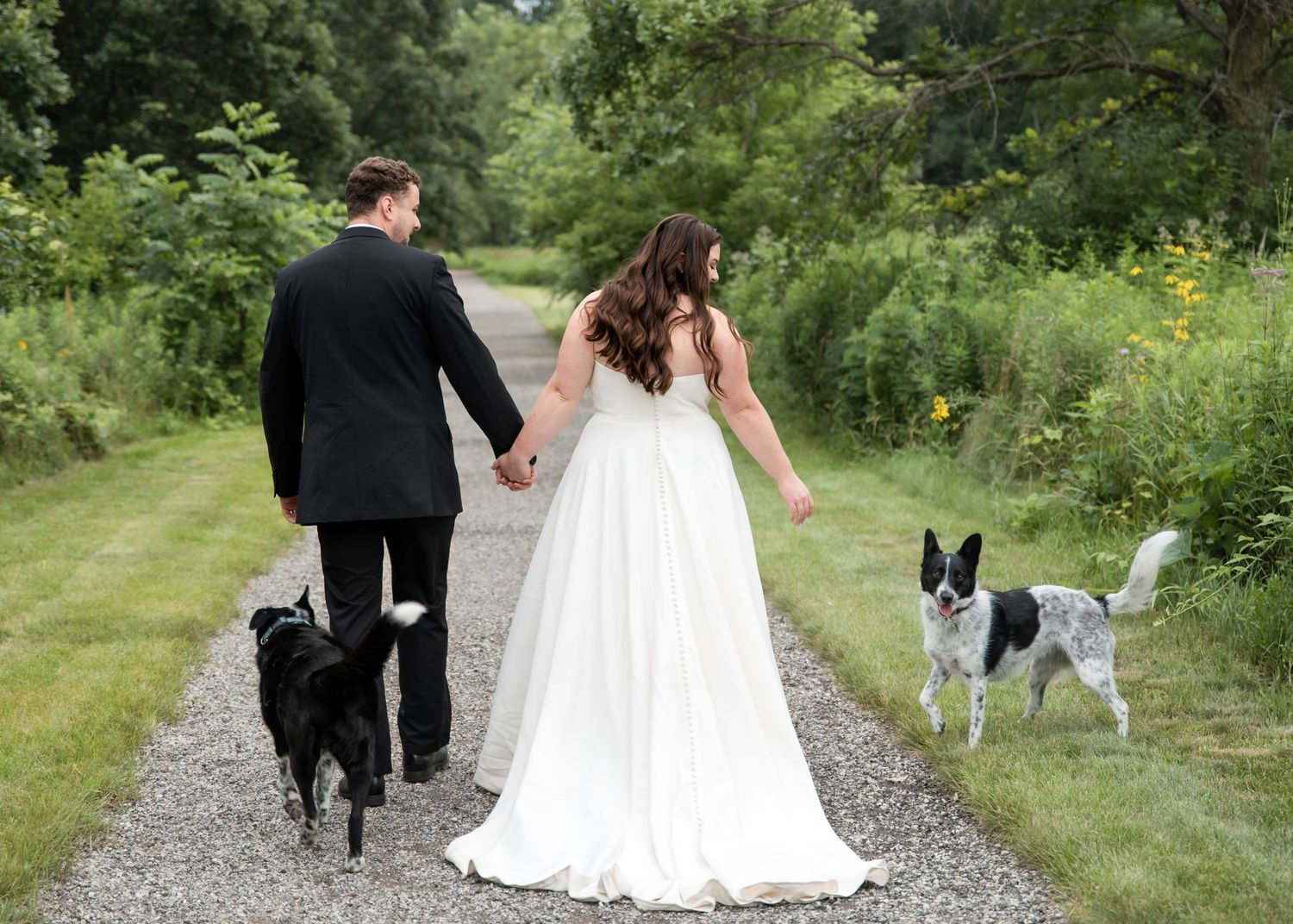 A couple in wedding attire walks down a gravel path with their two dogs in a lush green garden setting.