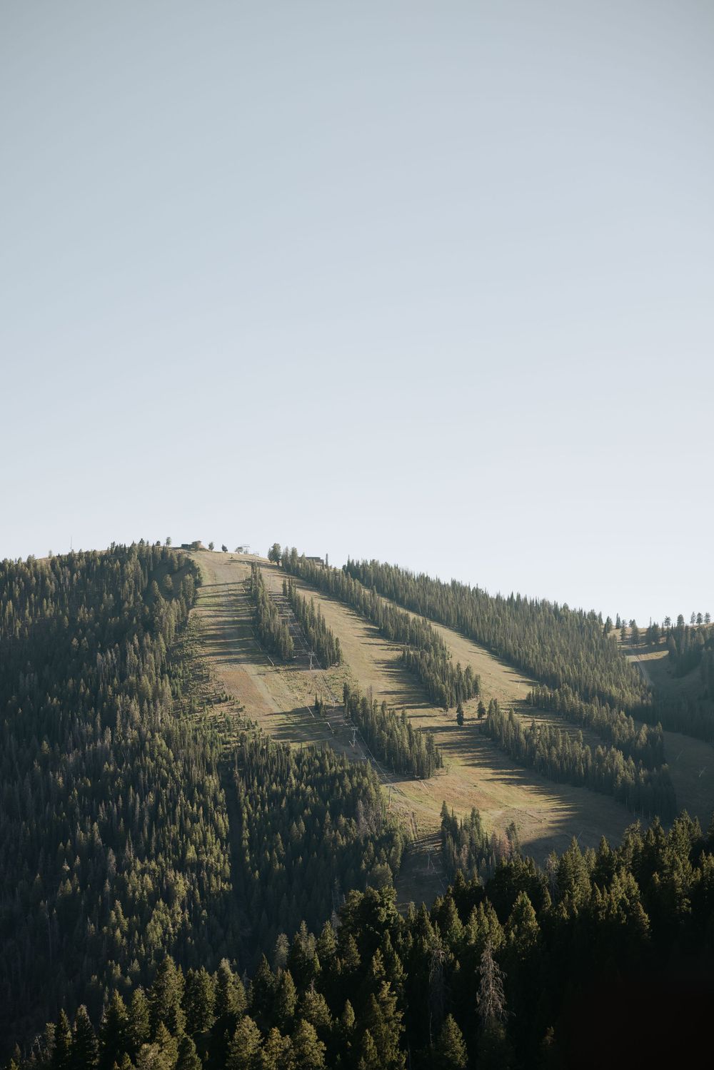 Snow-covered ski slopes cut through dense forest on a mountain ridge against a bright sky.