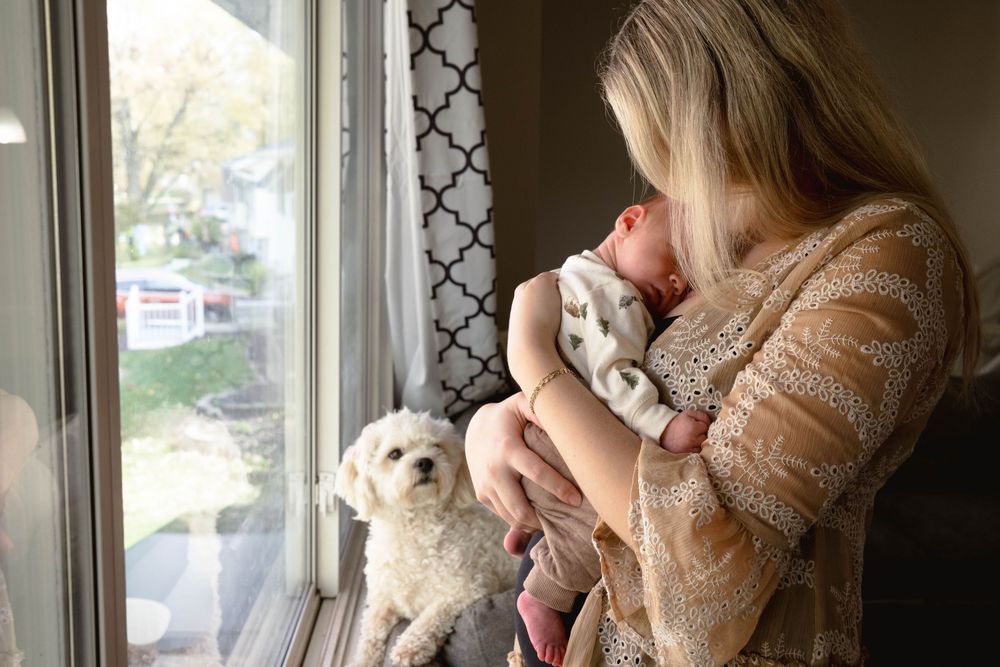Small white dog watches from window sill as someone holds a baby in cozy sweater.
