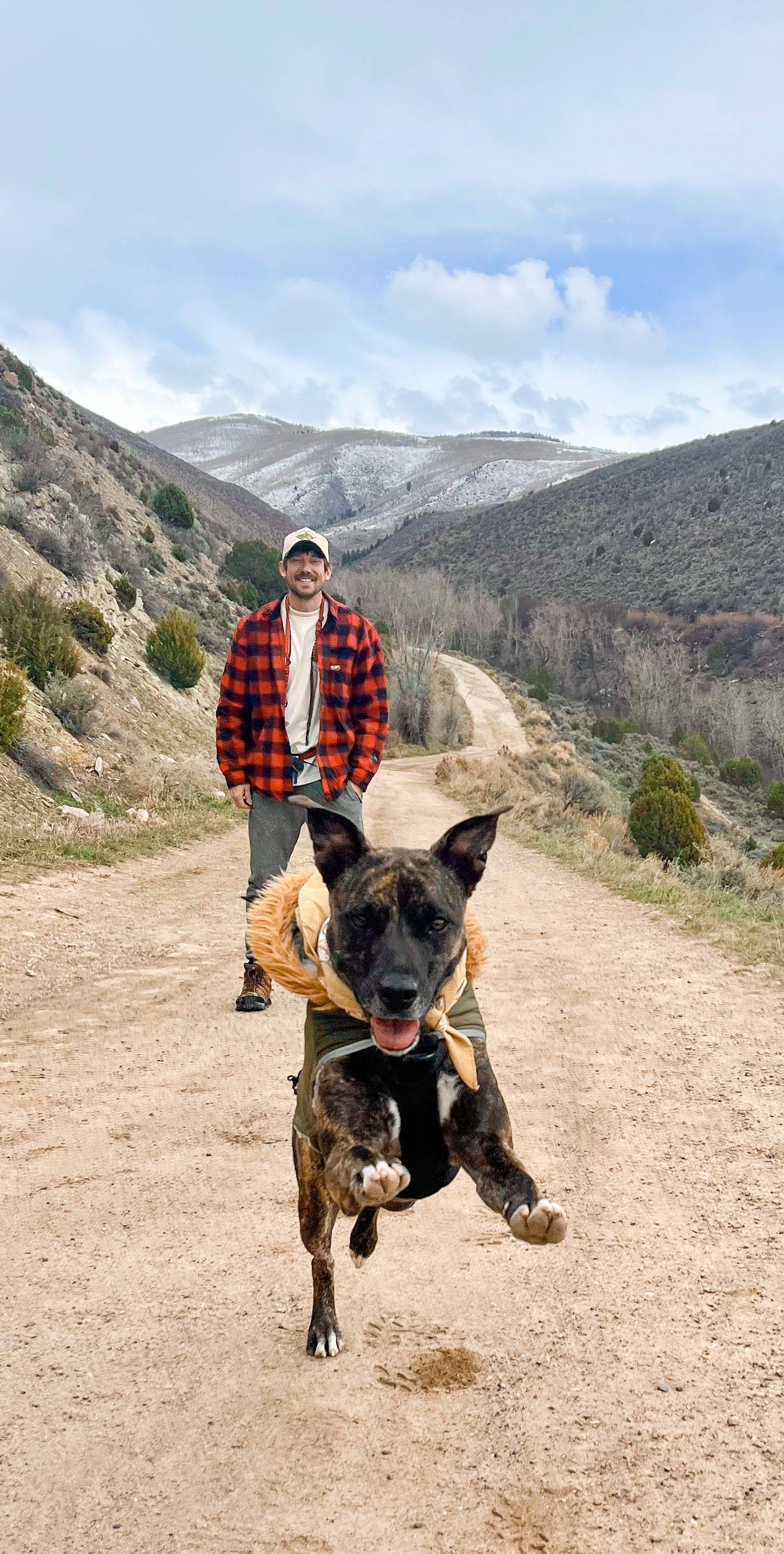 pet photos, vail, hiking, adventure, couple, elopement, beaver creek, trip photos, mountain, colorado, personal photographer, dog, dogs