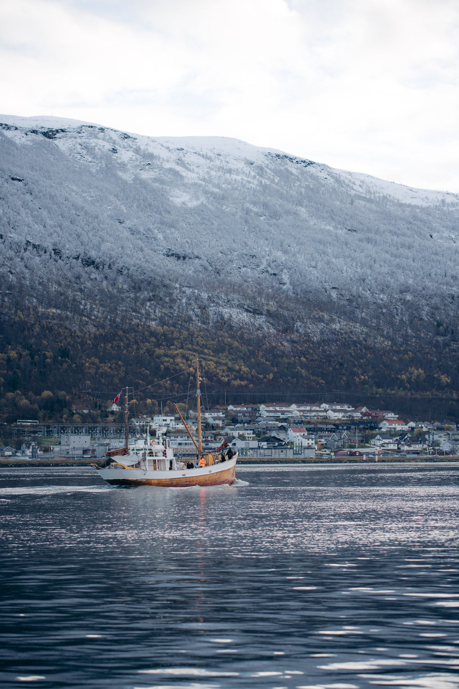 bateau dans le fjord de tromso au pied des montagnes enneigées
