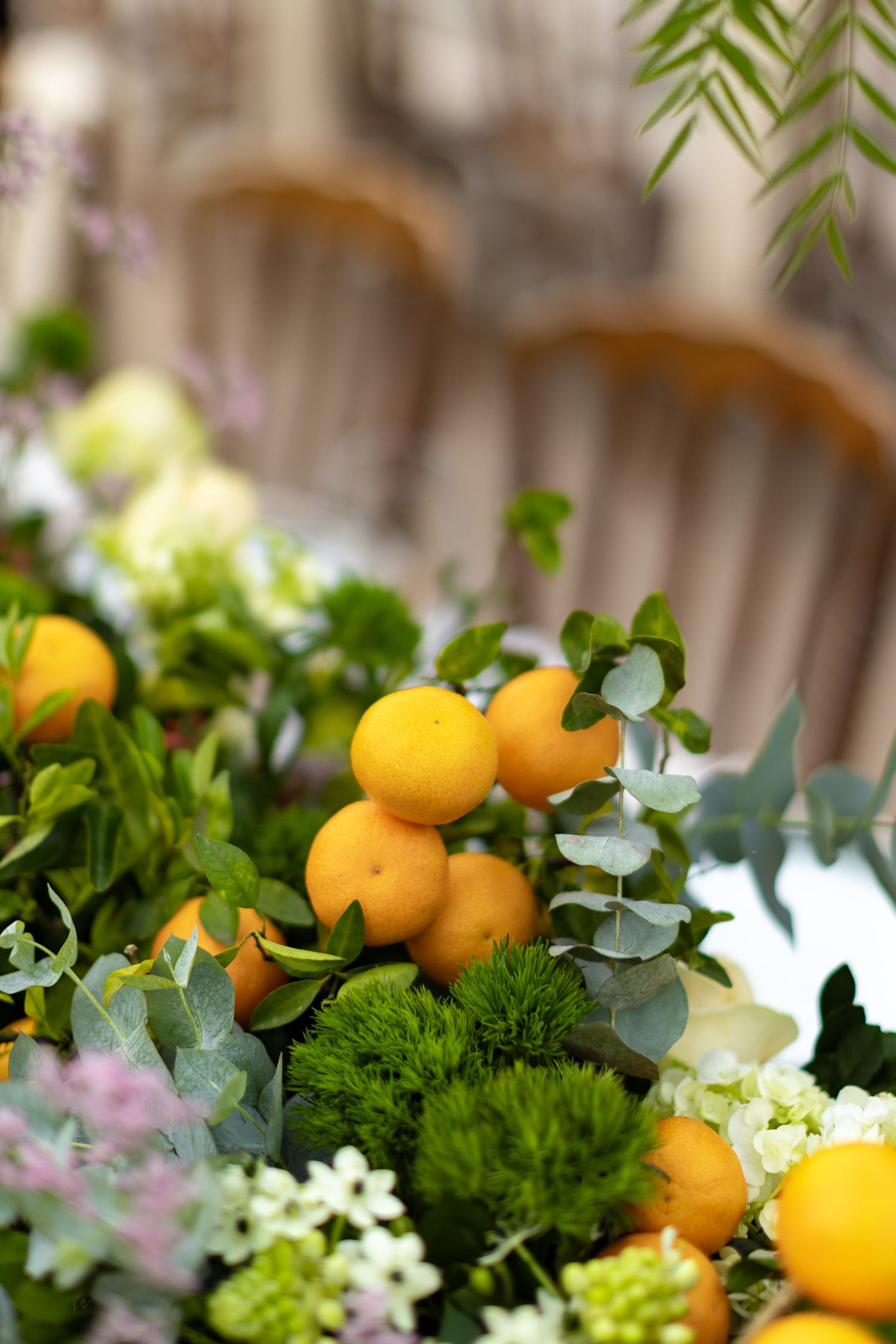 Fresh floral arrangement featuring bright kumquats, green parsley, and delicate eucalyptus leaves against a blurred background.