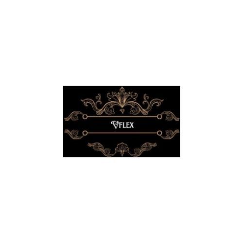 VFlex logo