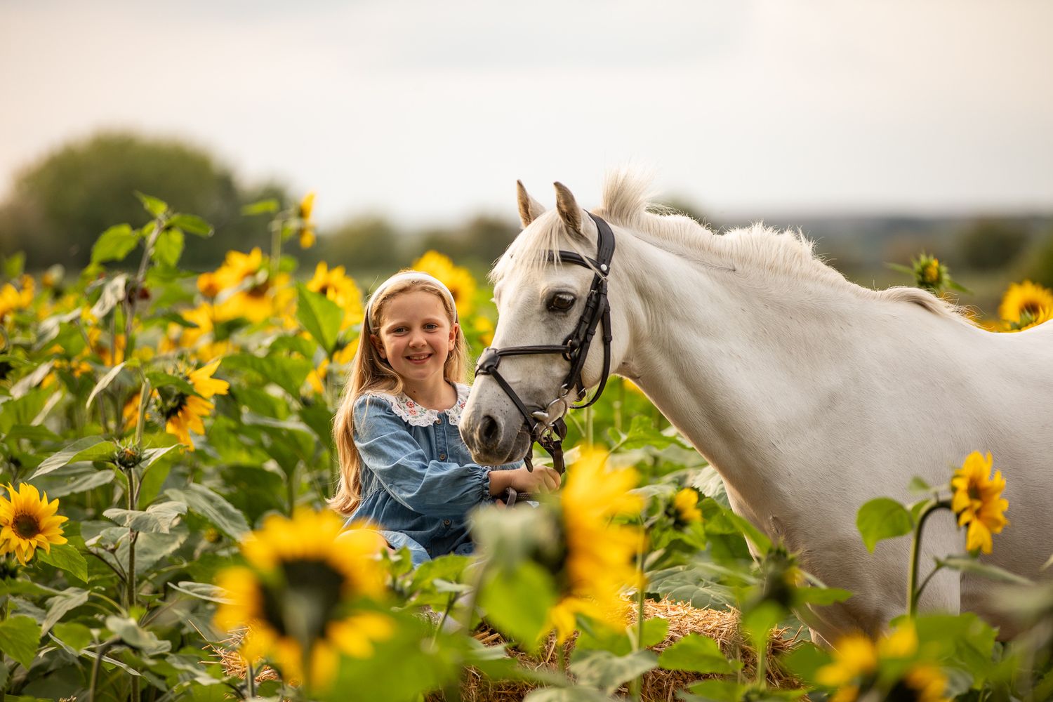 A horse and its rider enjoy an outdoor photoshoot session near rustic wooden fencing on a sunny day.