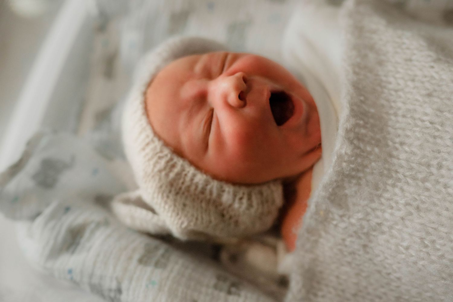 Newborn yawns during fresh 48 photography session.