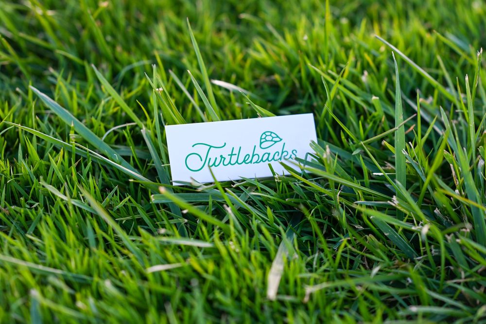 Business card lying in green grass outdoors.