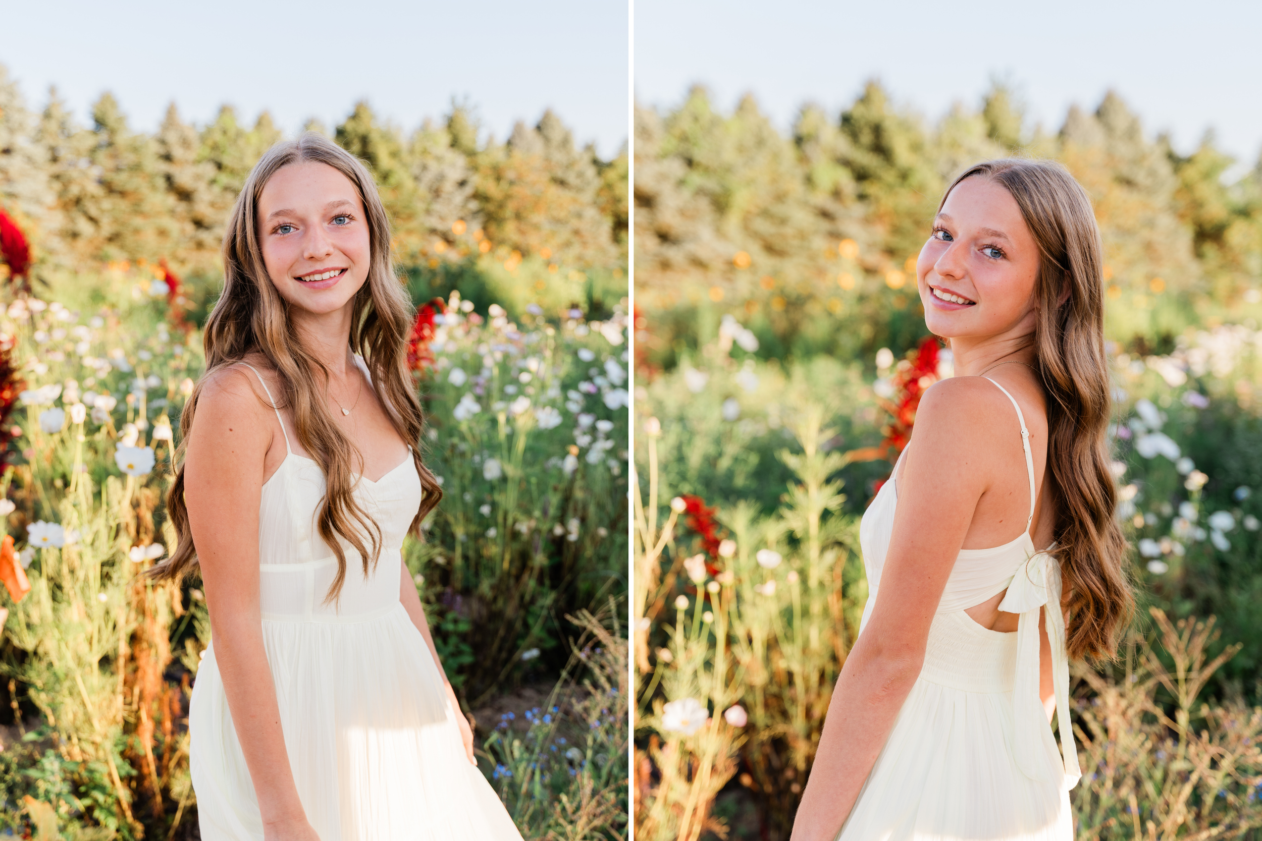 A collection of wedding portraits taken during golden hour in a natural outdoor setting with sunlit foliage.