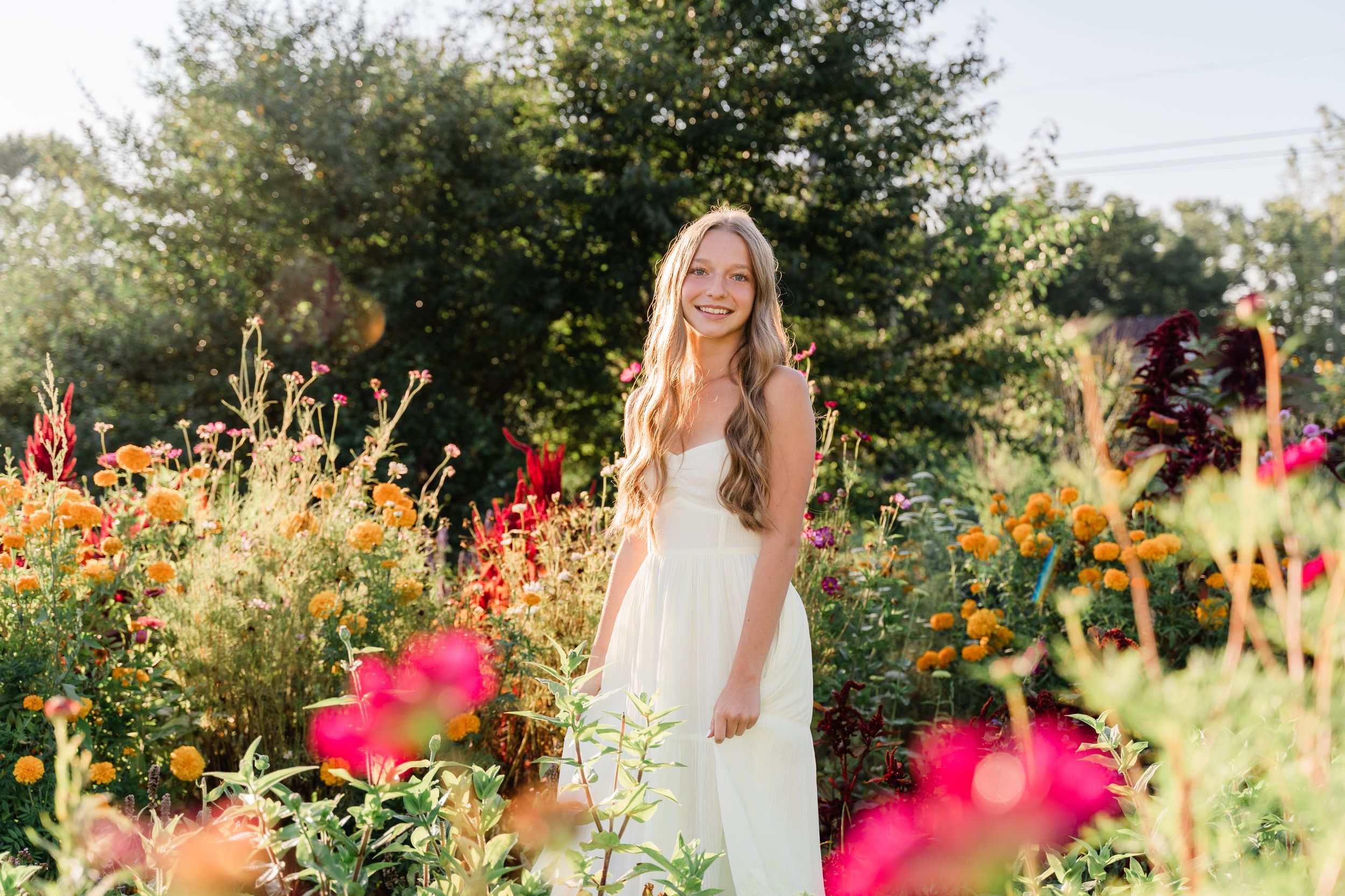 Colorful wildflower garden with pink cosmos and yellow blooms glowing in golden sunlight during sunset.