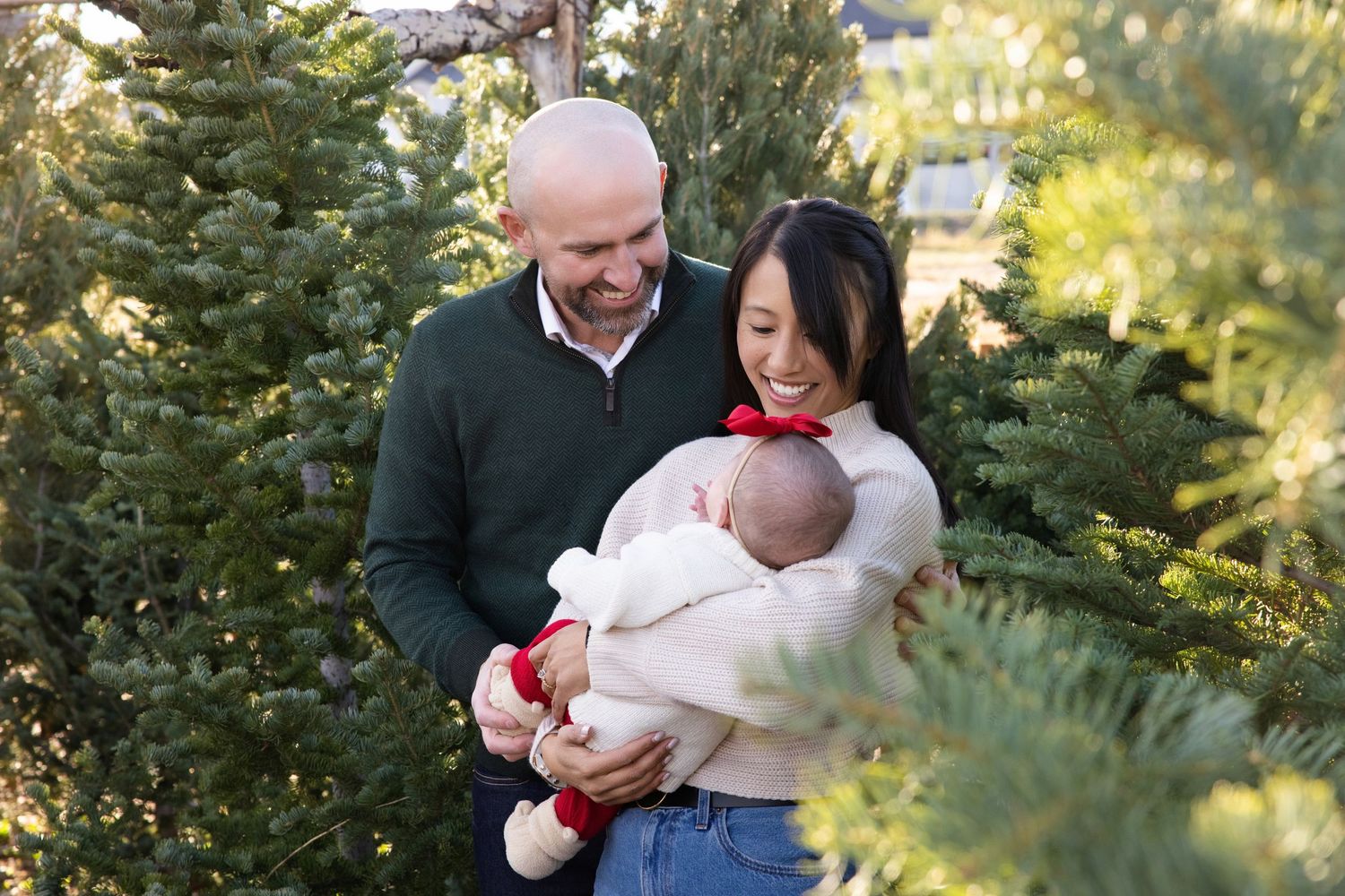 A couple shares a romantic moment together while shopping for Christmas trees at a festive tree farm.