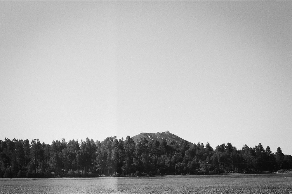 A minimalist black and white landscape with a treeline silhouetted against a light sky.