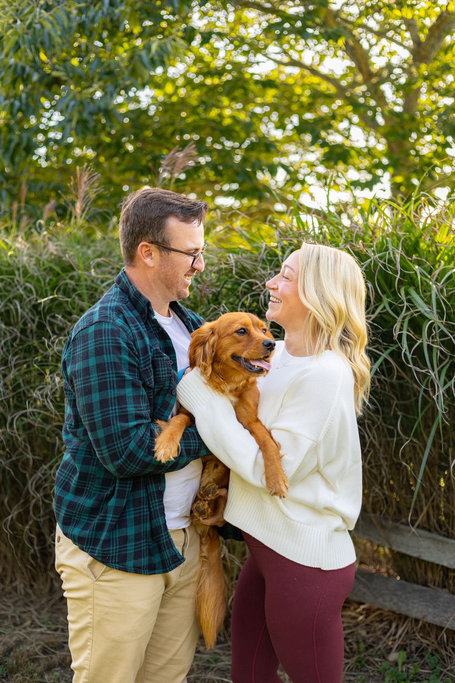 A romantic engagement photo session in a golden marsh field during sunset.