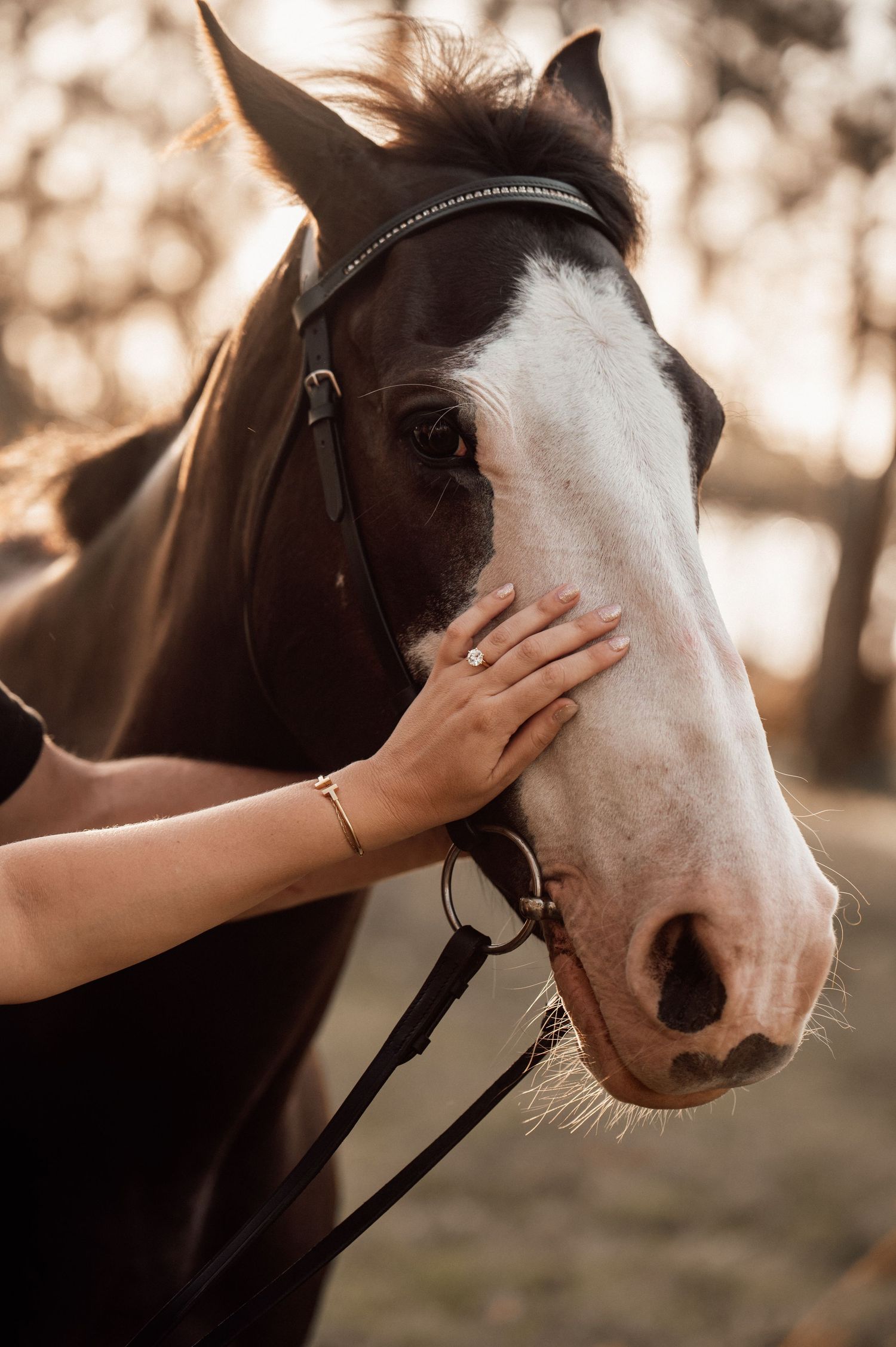 A hand gently strokes a black and white horse's face in a series of intimate close-up shots at sunset.