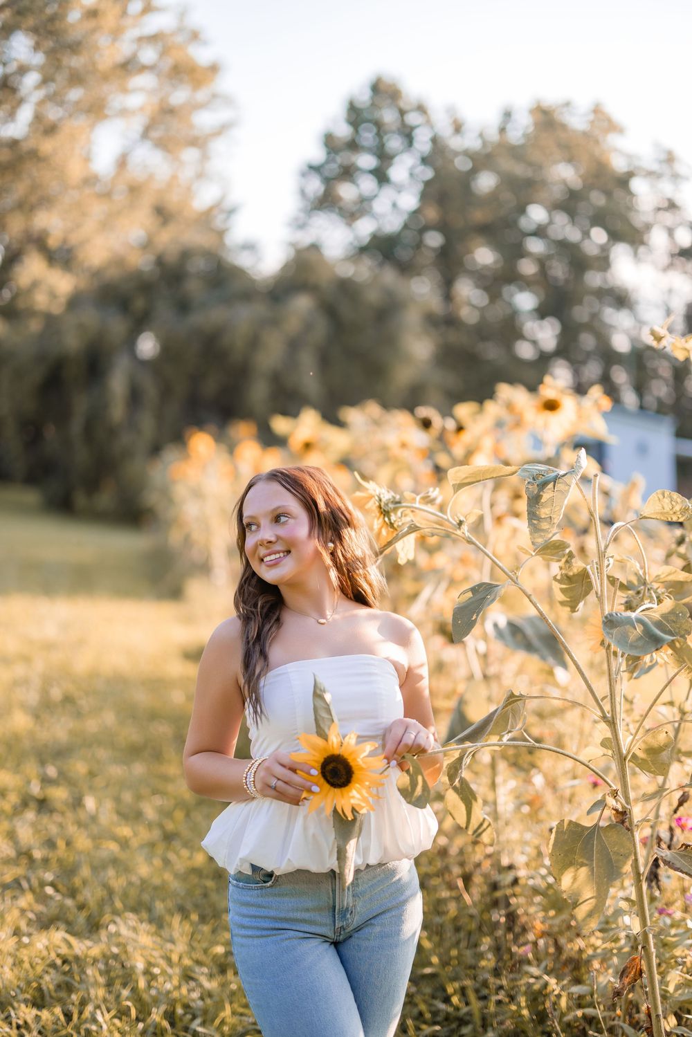 A woman in a white top holds a sunflower while standing in a golden sunlit field during sunset.