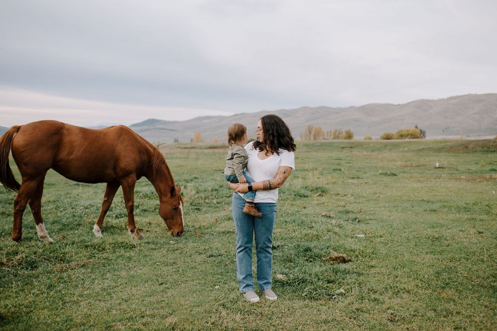 Brown and white horses grazing in a green field with mountains in the background.