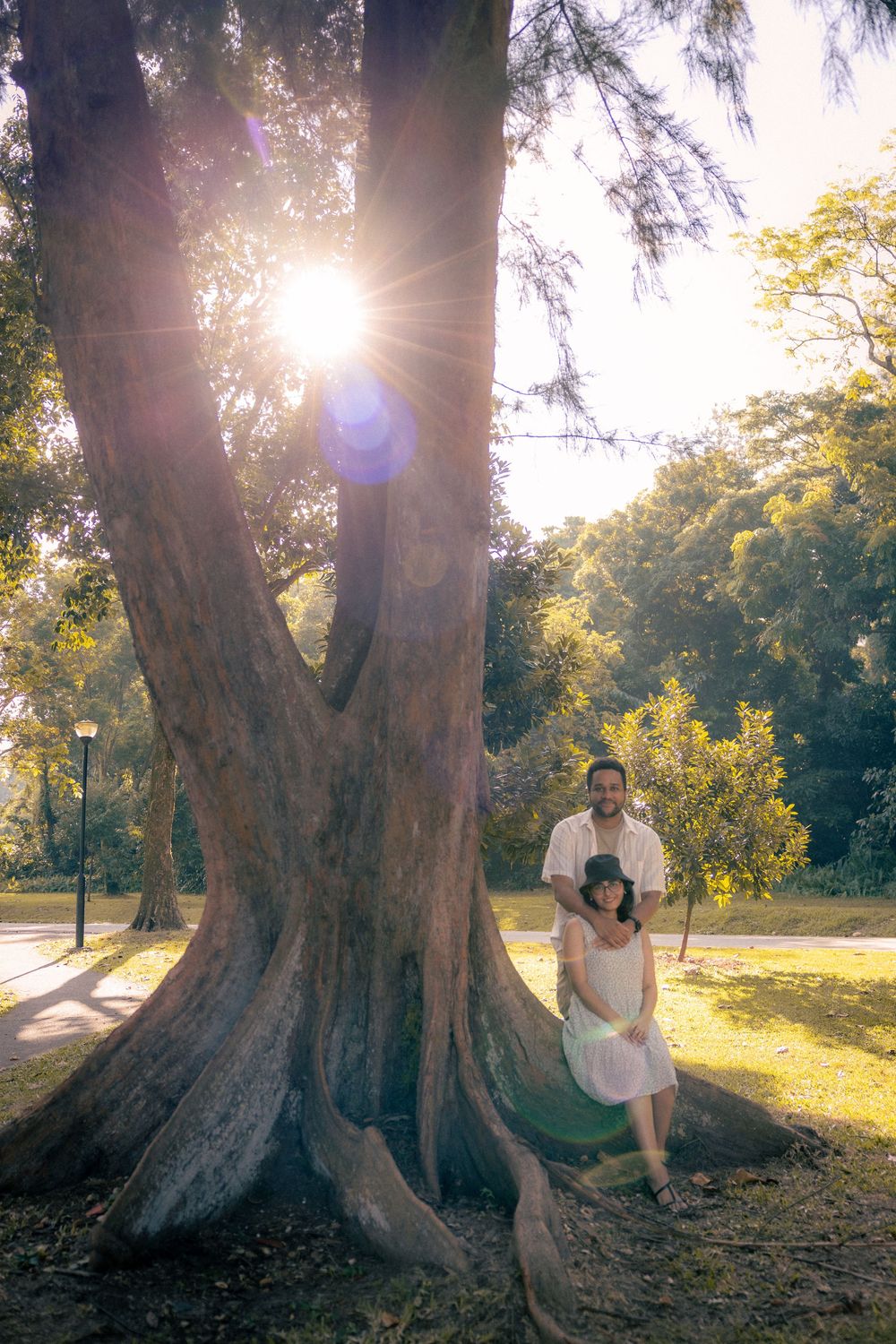 Beautiful sunlit scene in a park with a massive old tree trunk and sunbeams filtering through the foliage on a golden afternoon.