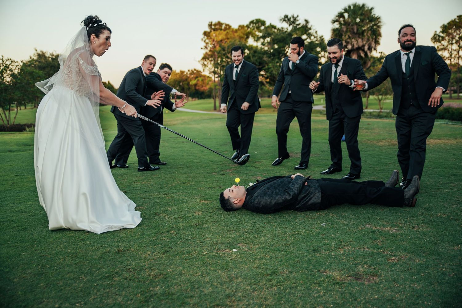 Bride and groomsmen playfully pulling groom across green golf course lawn.